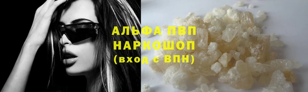 прущие грибы Магас
