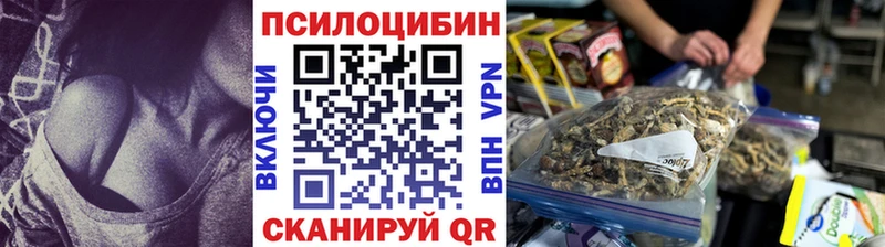 наркошоп Новосокольники Псилоцибиновые грибы ЛСД